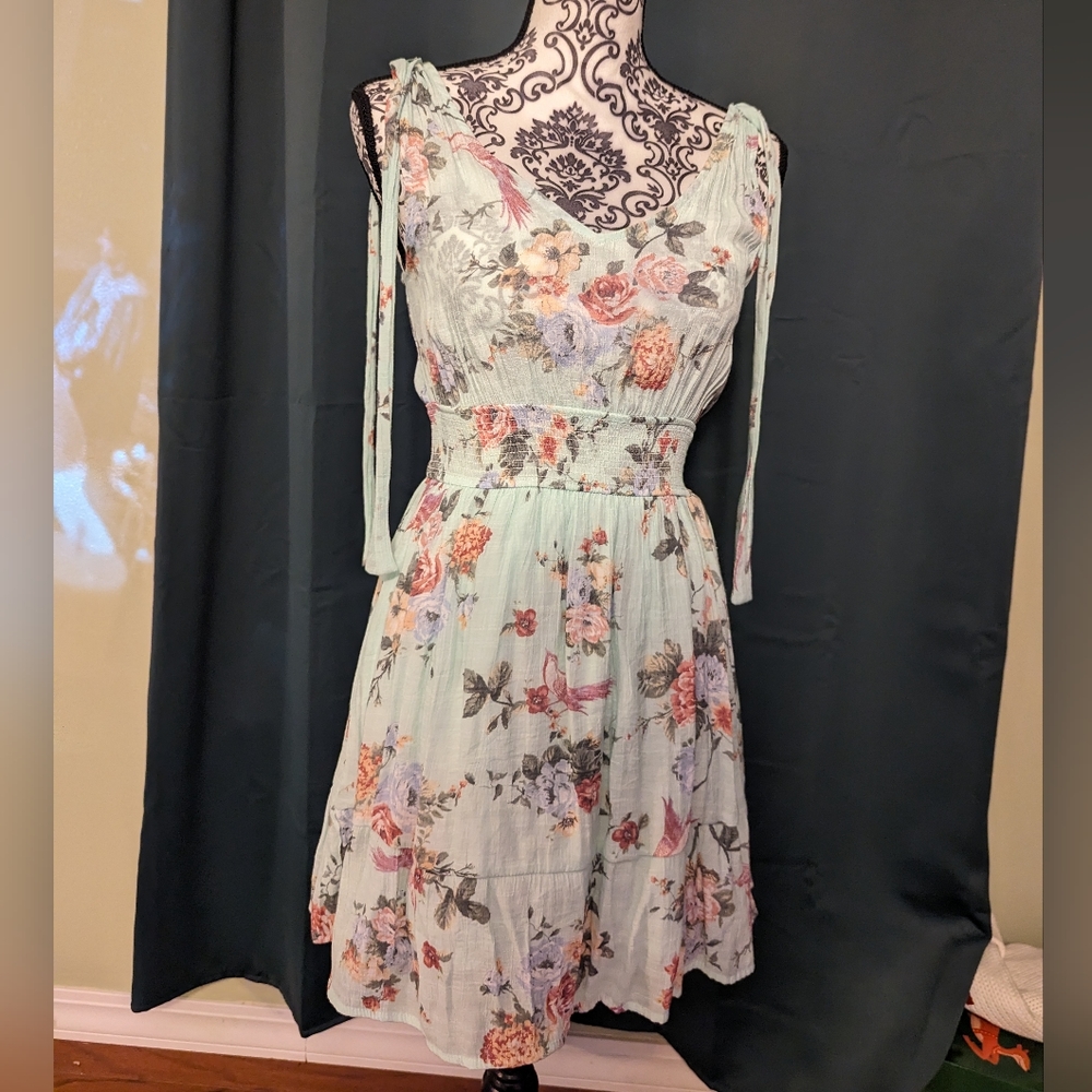 Blu Pepper size small dress